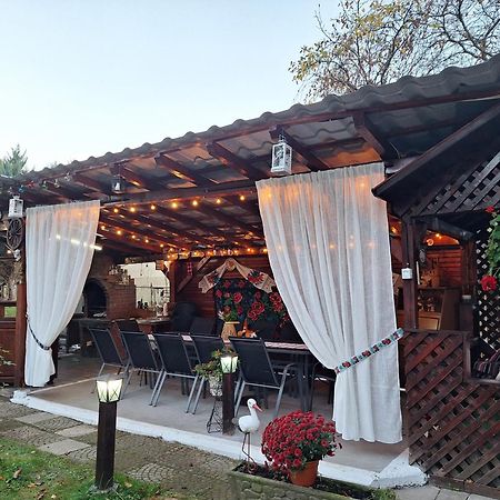 Pensiunea Rominvest Borşa Buitenkant foto
