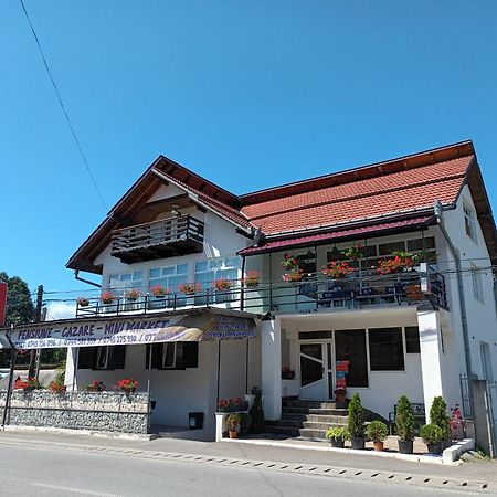 Pensiunea Rominvest Borşa Buitenkant foto