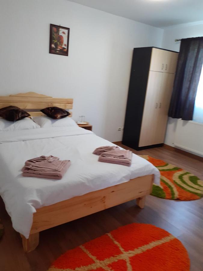 Pensiunea Rominvest Borşa Buitenkant foto