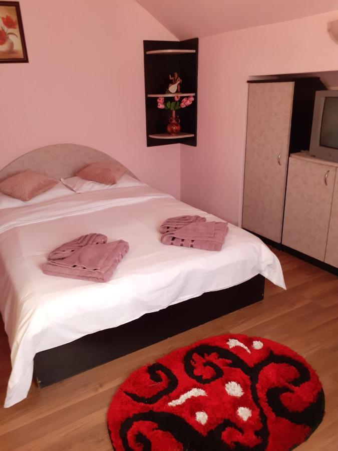 Pensiunea Rominvest Borşa Buitenkant foto