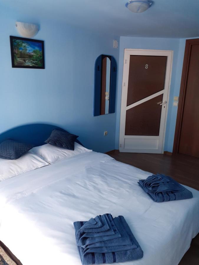 Pensiunea Rominvest Borşa Buitenkant foto
