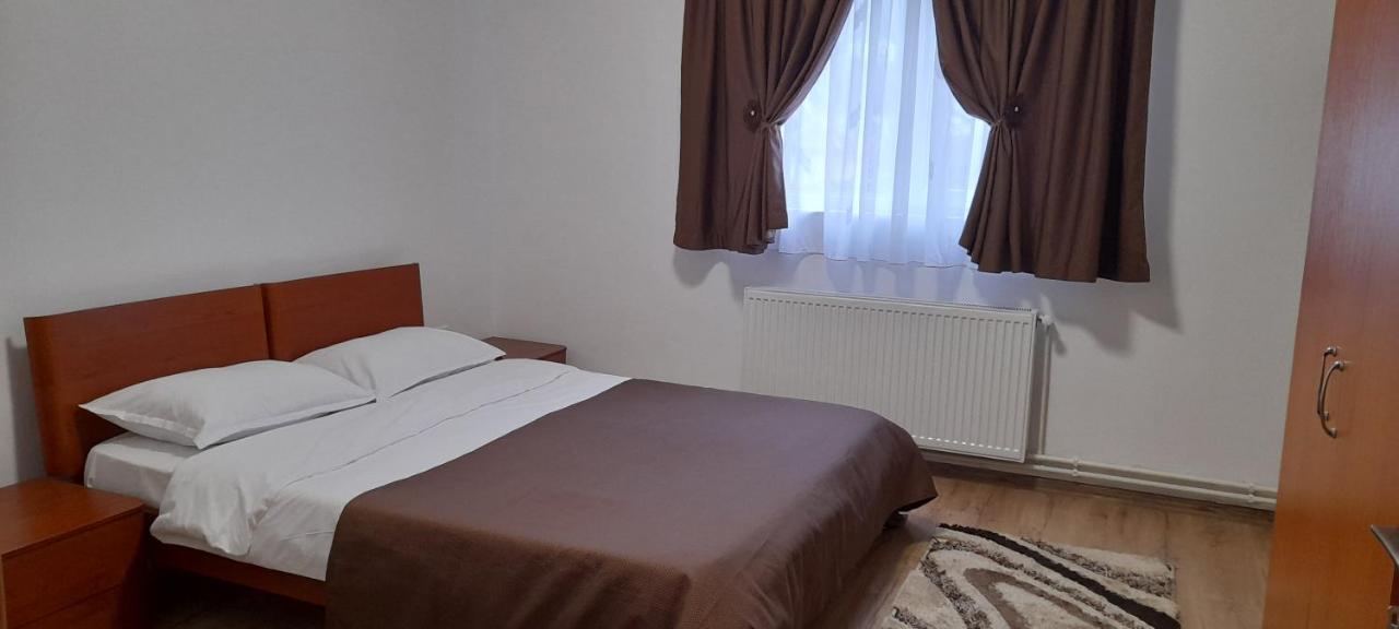 Pensiunea Rominvest Borşa Buitenkant foto