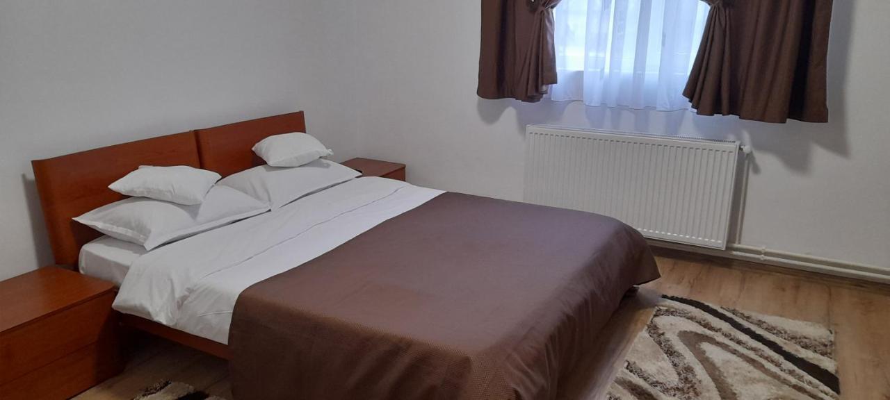 Pensiunea Rominvest Borşa Buitenkant foto