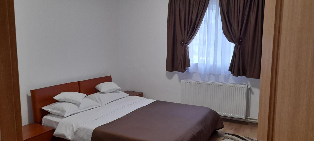 Pensiunea Rominvest Borşa Buitenkant foto