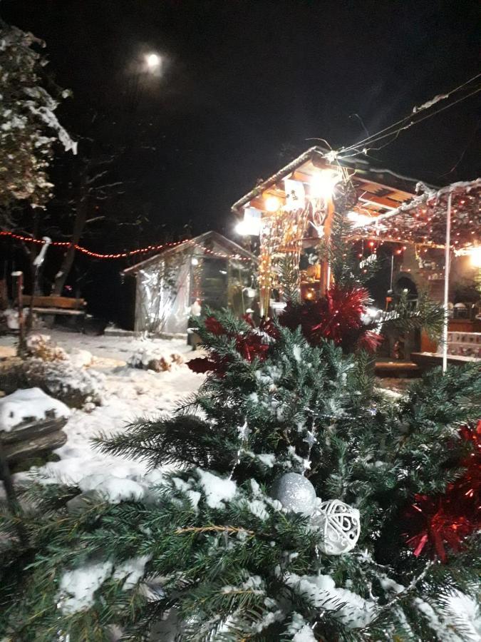Pensiunea Rominvest Borşa Buitenkant foto