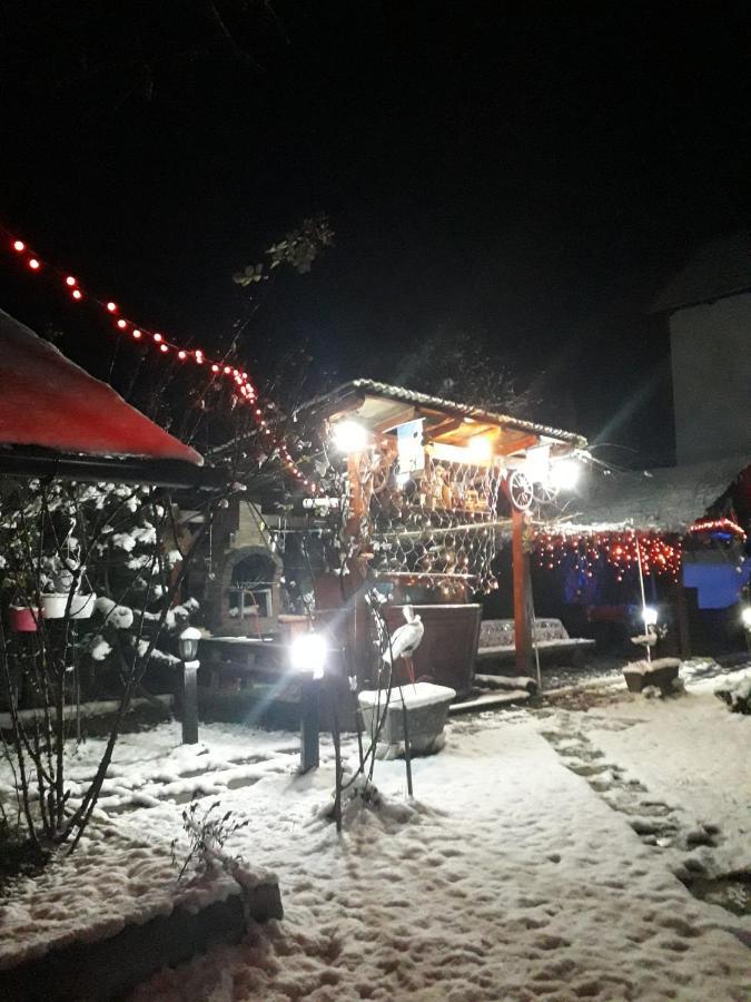 Pensiunea Rominvest Borşa Buitenkant foto