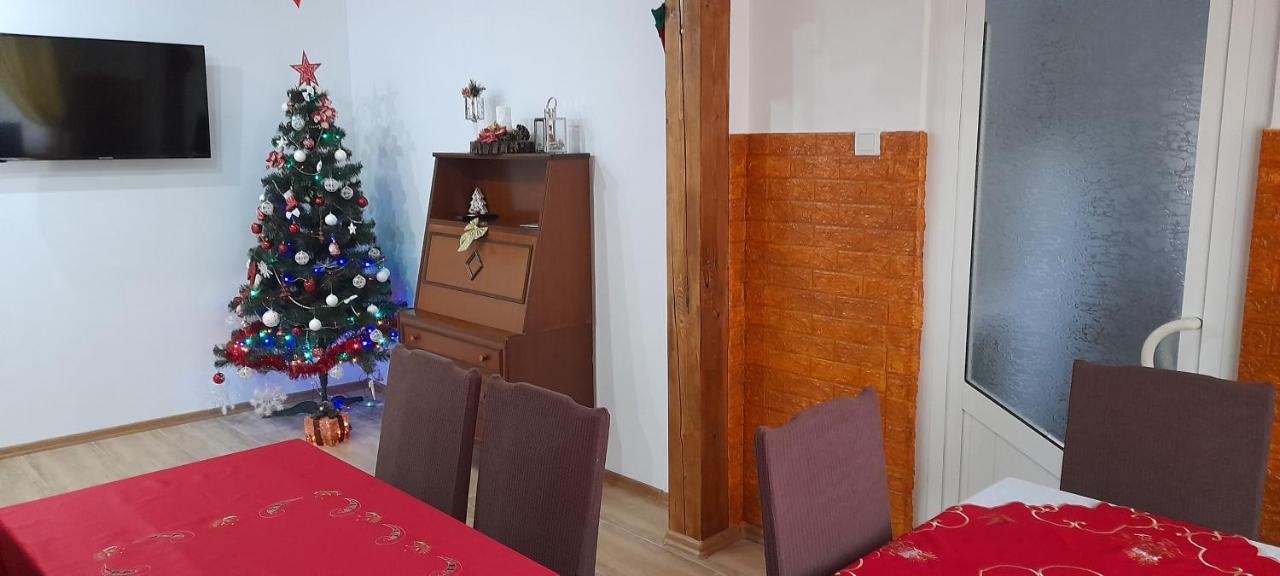Pensiunea Rominvest Borşa Buitenkant foto