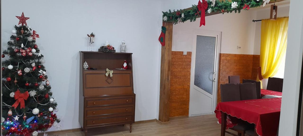Pensiunea Rominvest Borşa Buitenkant foto